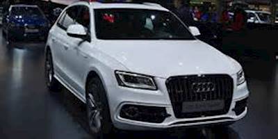 File:Salon de l'auto de Genève 2014 - 20140305 - Audi Q5 2 ...