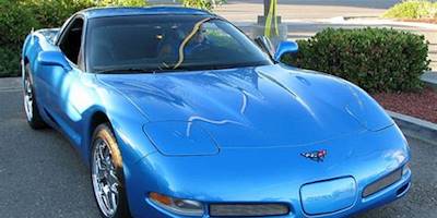 1999 Chevrolet Corvette '1195 NOT' 1 | Flickr - Photo Sharing!