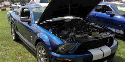 ????:2007 Ford Shelby GT500.JPG - Wikipedia