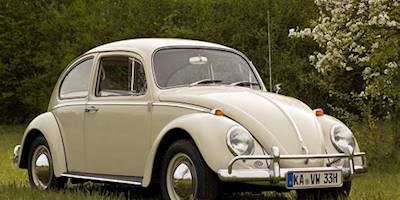 Bug Volkswagen VW Beetle